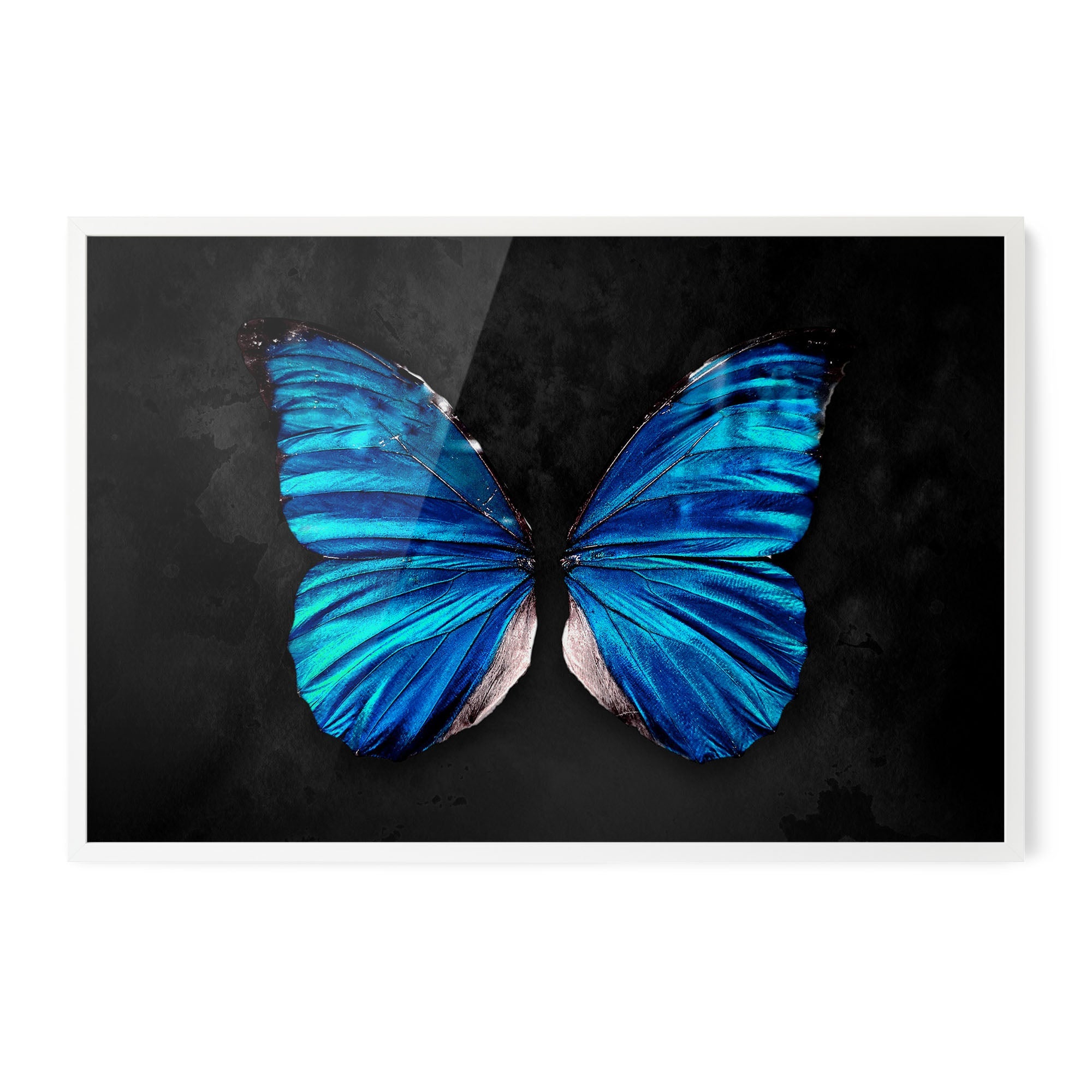 Butterfly Effect Blue