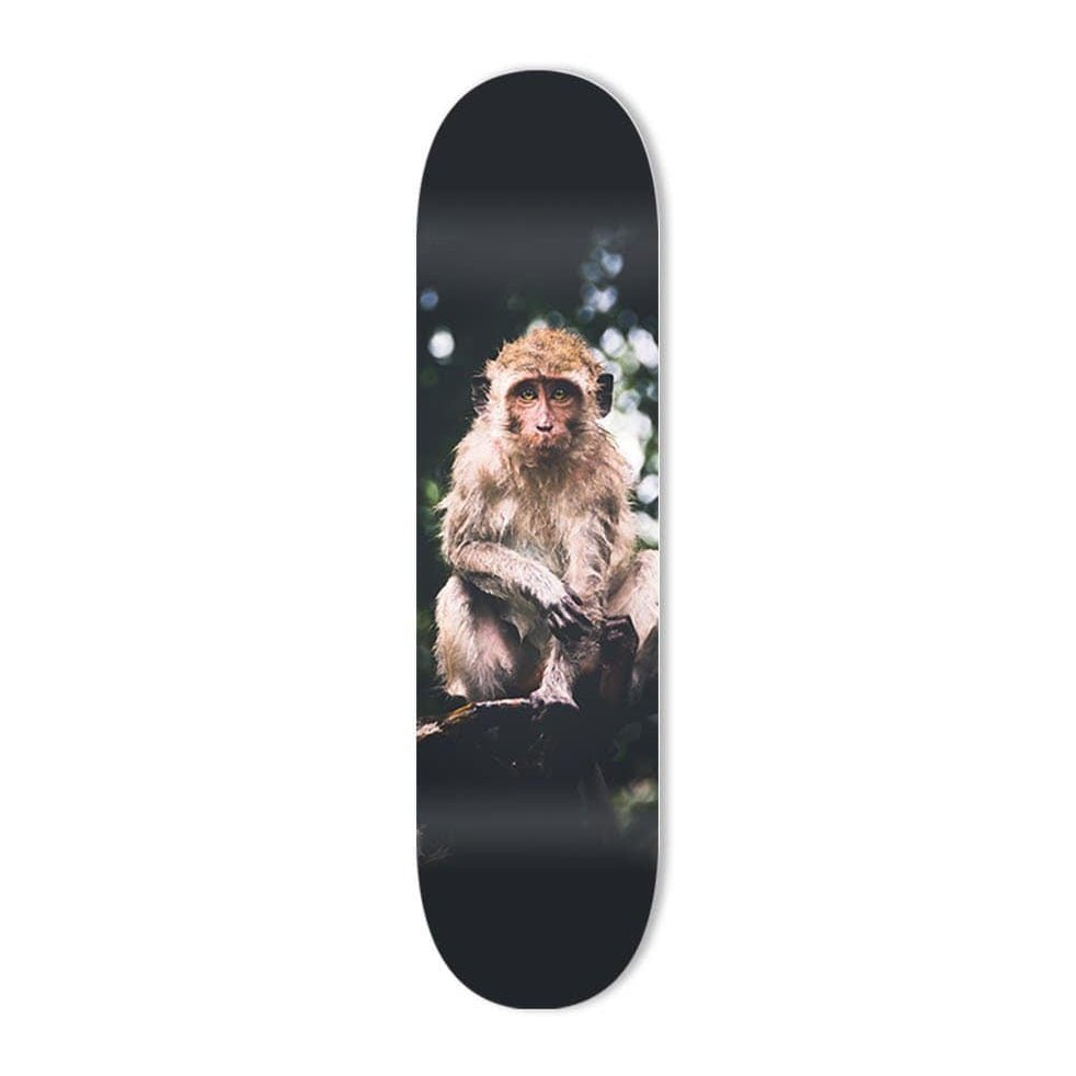 "Jungle Player" - Skateboard - The Art Lab Acrylic Glass Art - Skateboards, Surfboards & Glass Prints Wall Decor for your Home.